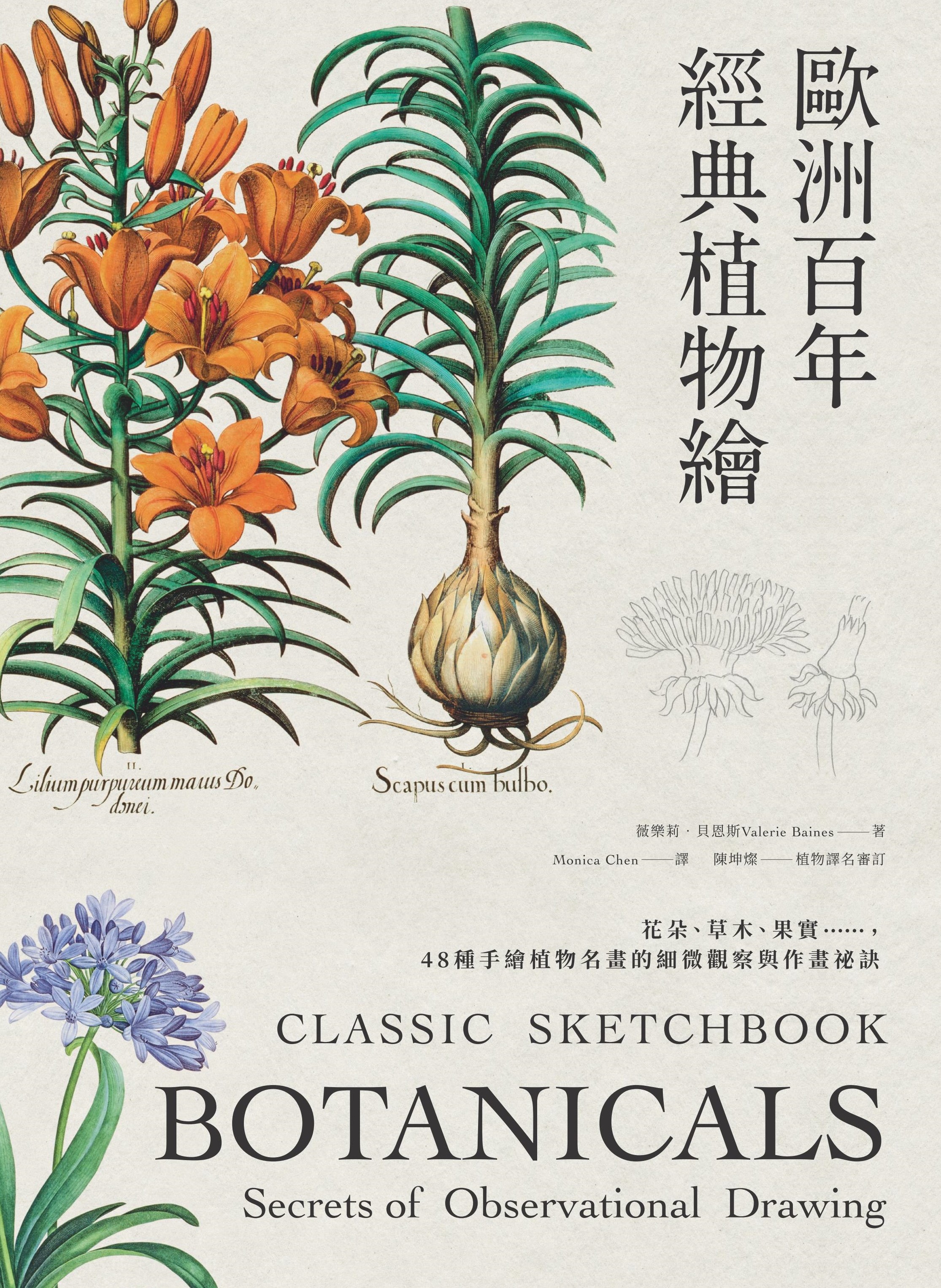 歐洲百年經典植物繪 首刷限量超大幅海報 花朵 草木 果實 48種手繪植物名畫的細微觀察與作畫祕訣 讀書共和國網路書店
