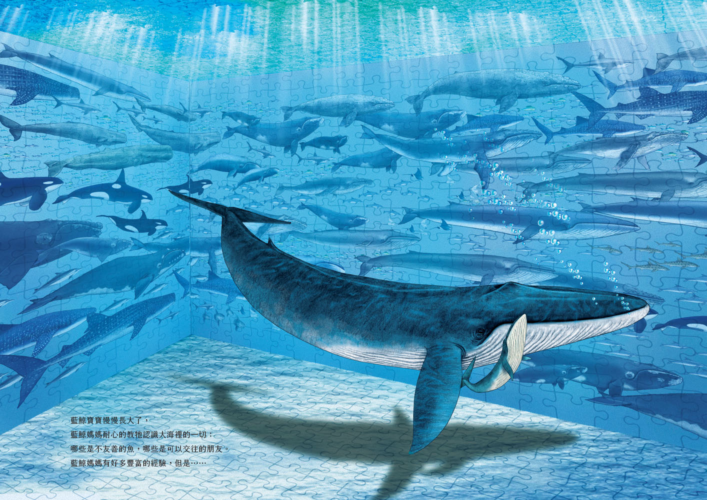 深海之生‧深海之聲（雙頭書× 雙封面，隨書贈「鯨魚之歌」明信片組2張）|讀書共和國網路書店